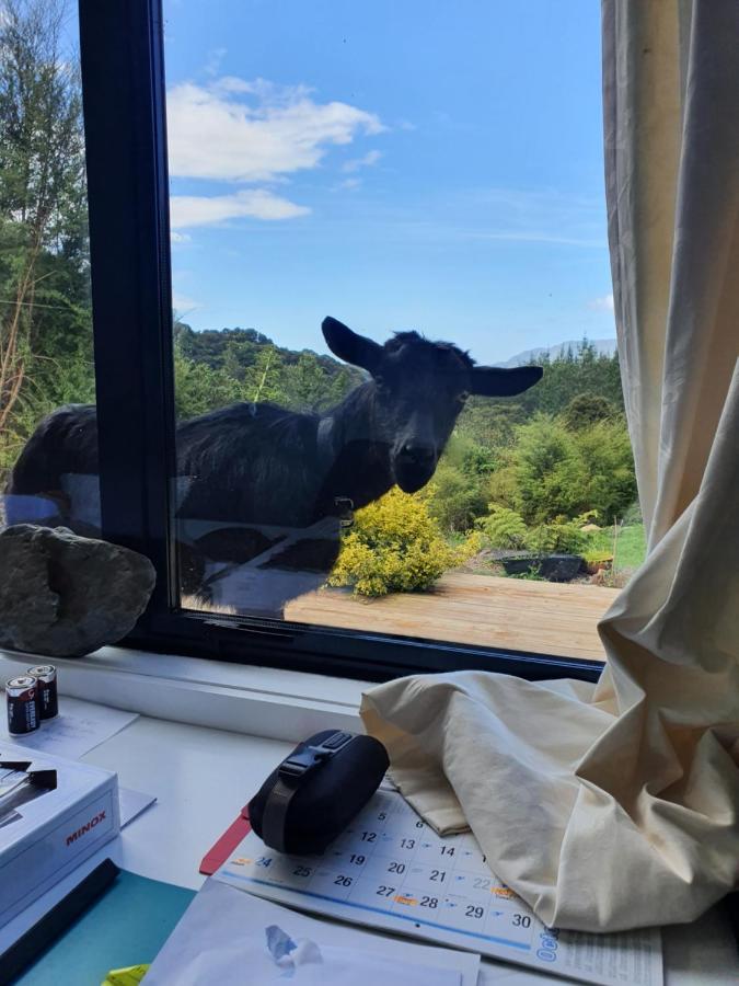 Golden Bay Glamping Hotel Takaka Luaran gambar